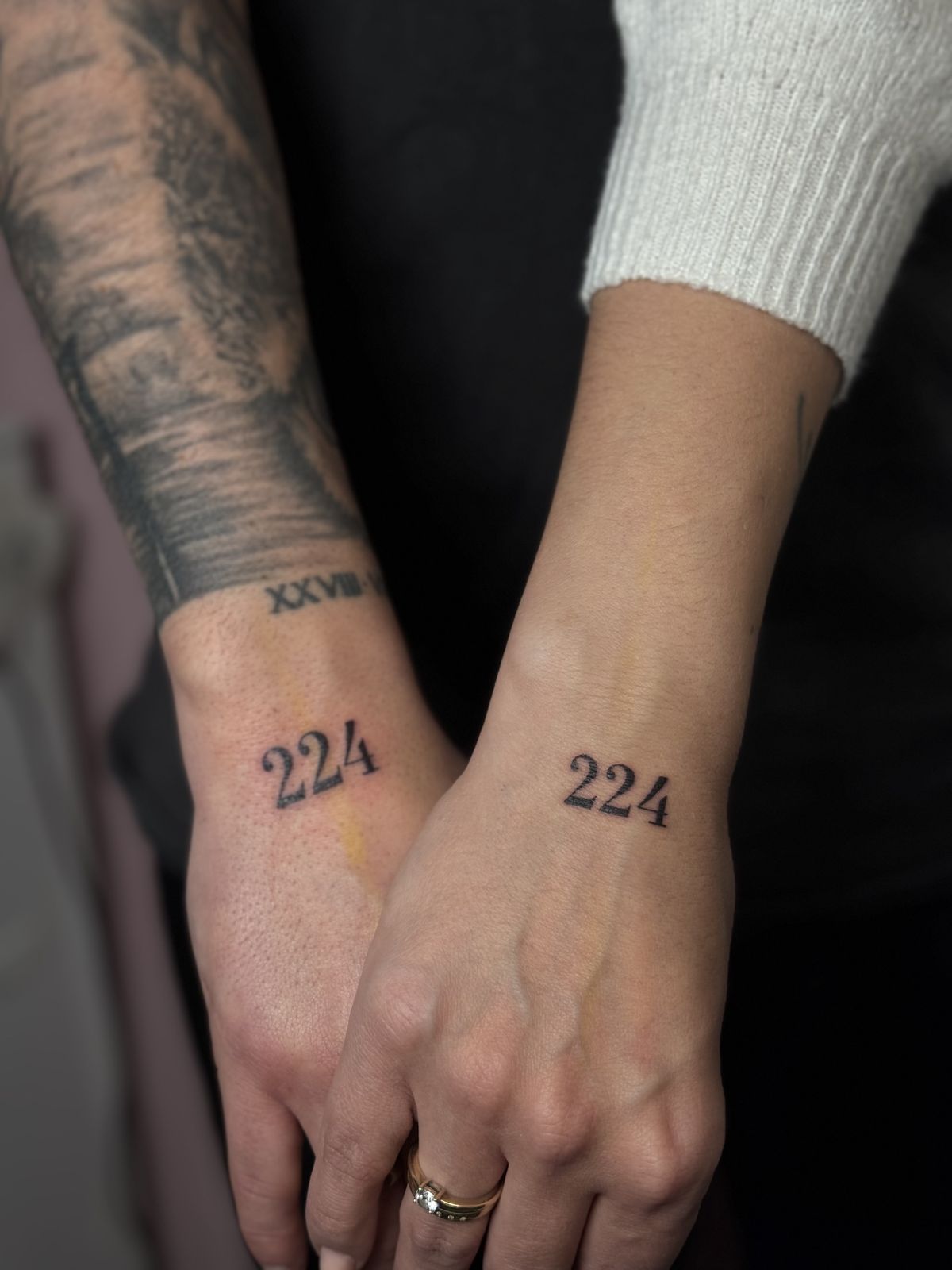 Fineline Tattoo Secret Stories 8