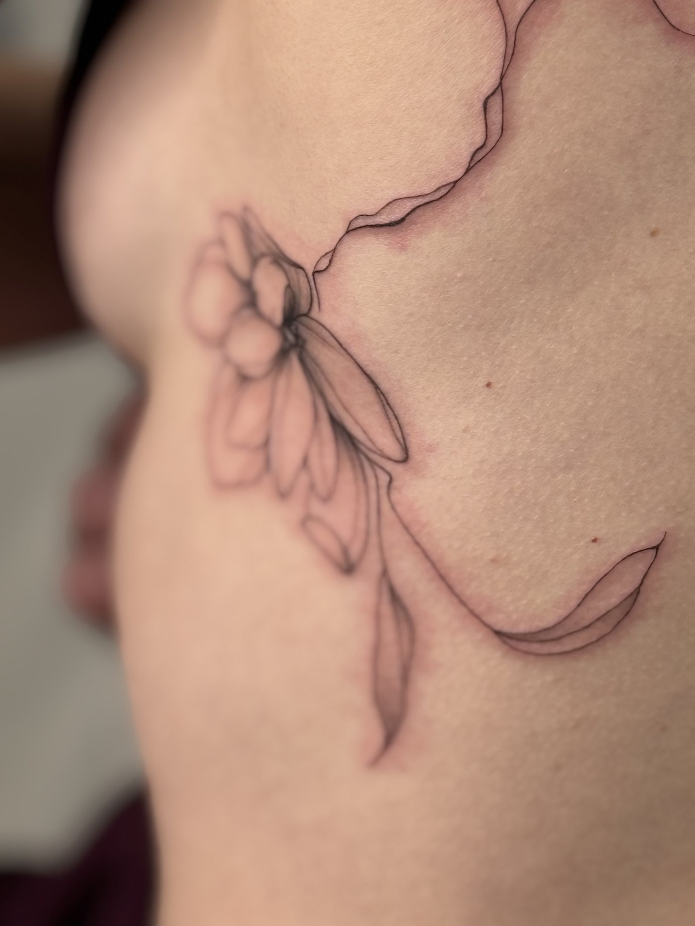 Fineline Tattoo Schmetterling — Secret Stories Karlsruhe